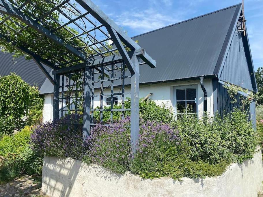 Droemhus Pa Oesterlen Glemminge Exterior foto